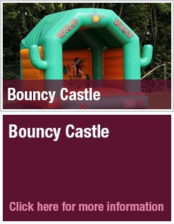 Wild West Bouncy Castle